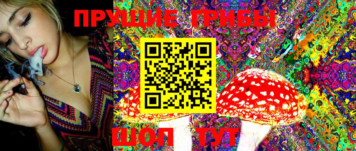Мыски  Галлюциногенные грибы MAGIC MUSHROOMS  Вход с VPN 